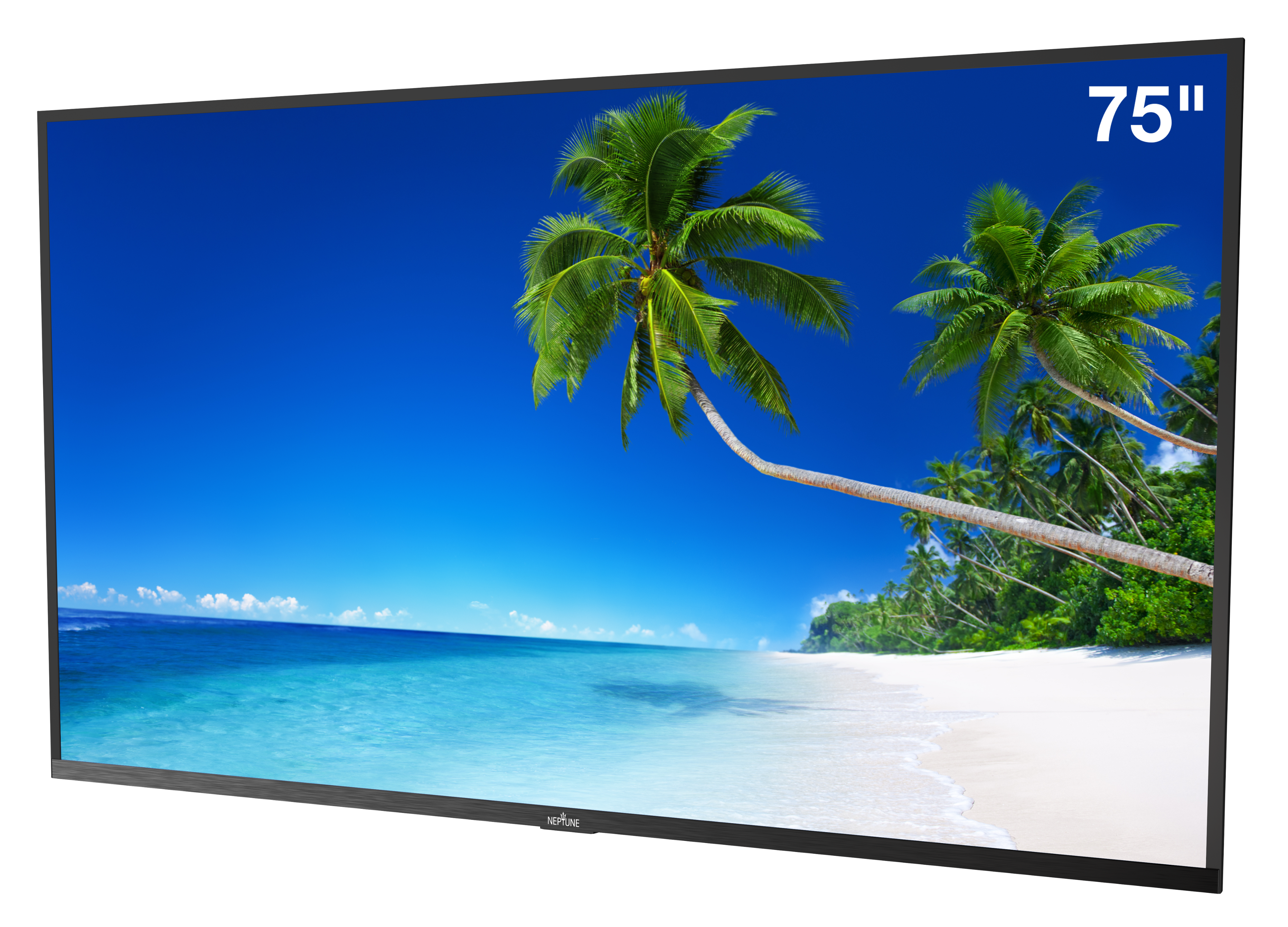 75" NEPTUNE