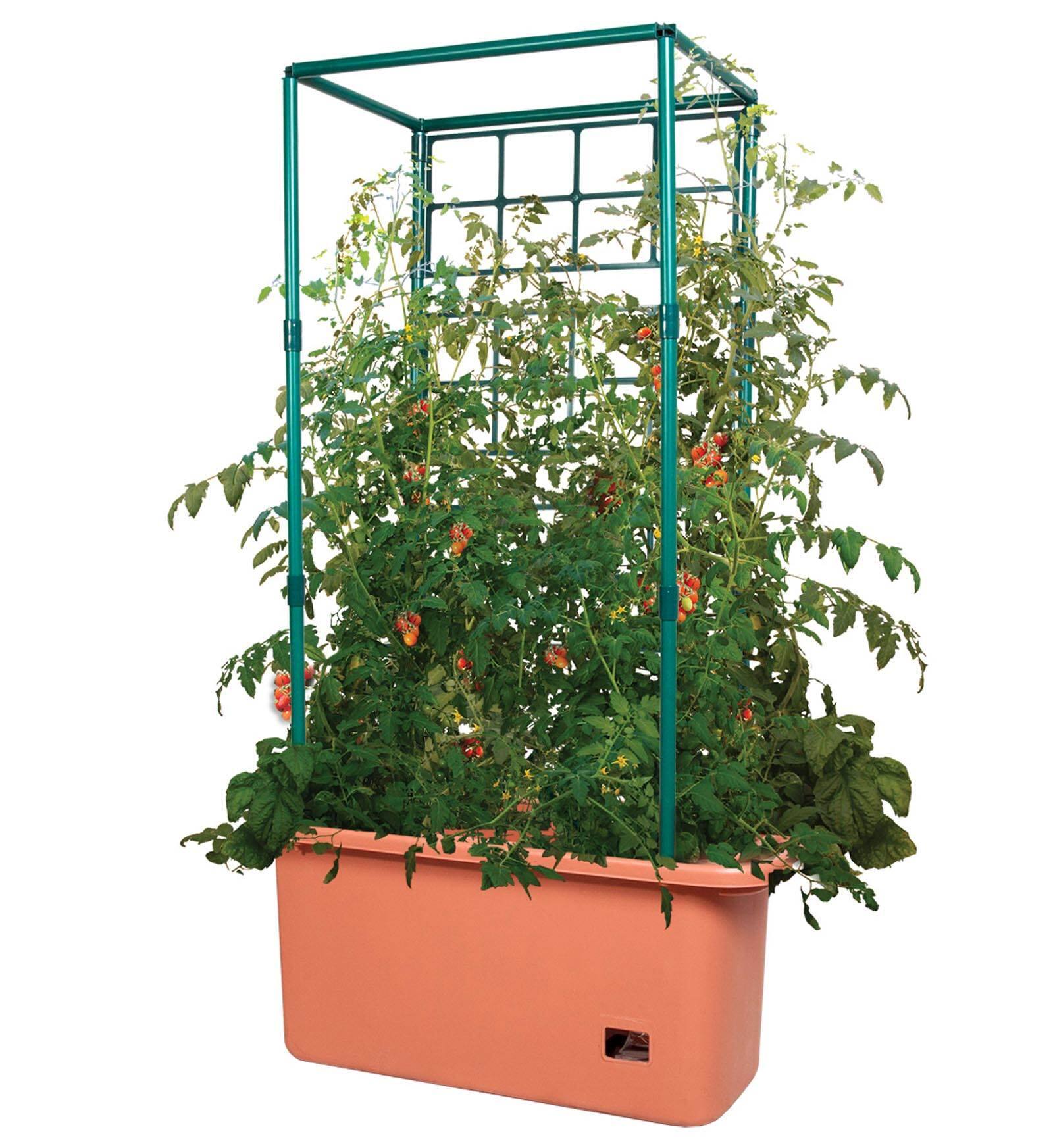 Alt View 10. Hydrofarm - Hydrofarm GCTR 10 Gal Tomato Trellis Self Watering Grow System (2 Pack) - Green.