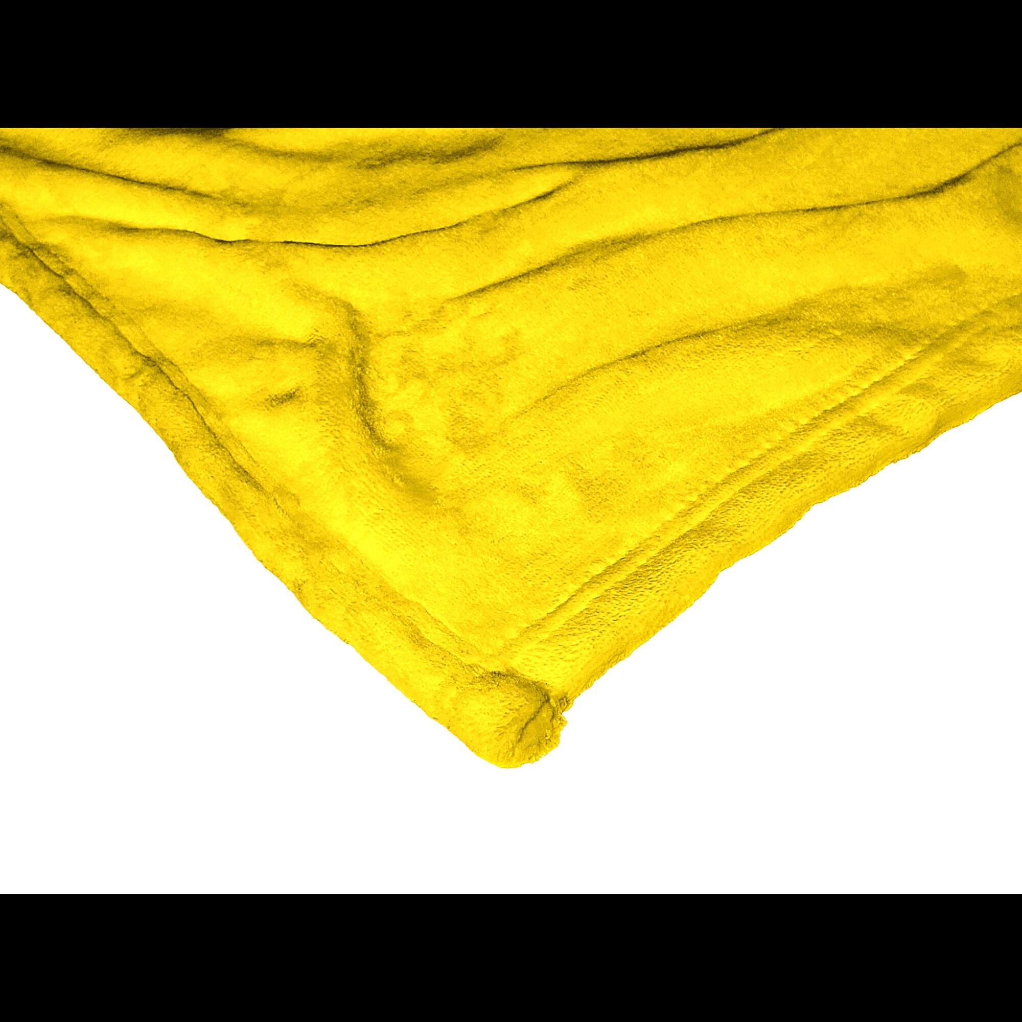 Alt View 2. Northwest - City Connect 50" x 60" Silk Touch Throw Blanket - Multicolor.