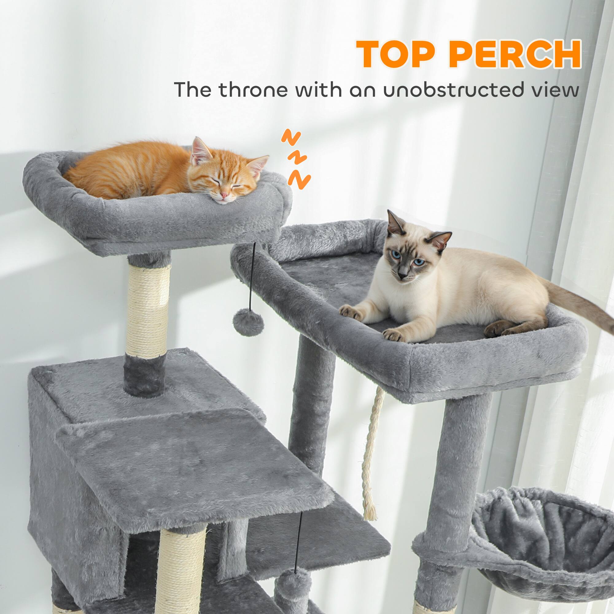 TOP PERCH  
The throne with an unobstructed view