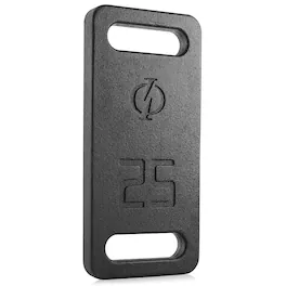Philosophy Gym - Ruck Weight - Weighted Fitness Plate with Handle - 10-45 lbs - Cast Iron