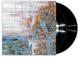 Explosions in the Sky - The Wilderness - VINYL LP