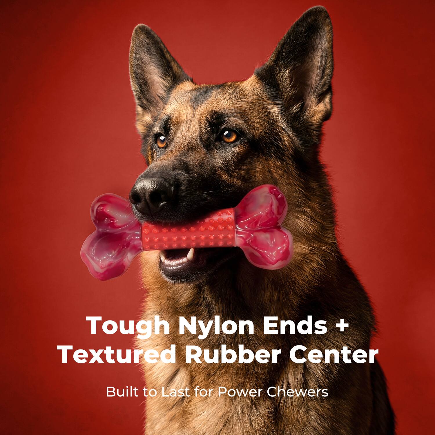 Tough Nylon Ends + Textured Rubber Center  
Built to Last for Power Chewers