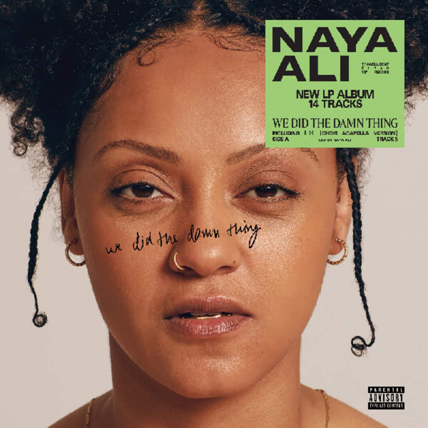 Naya Ali - We Did The Damn Thing   - VINYL LP price history on PriceWatchPro