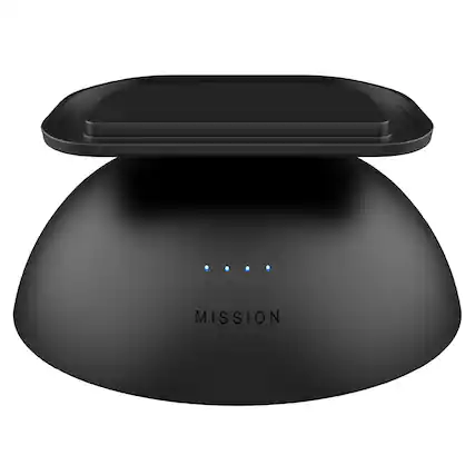 The text on the image reads "MISSION."