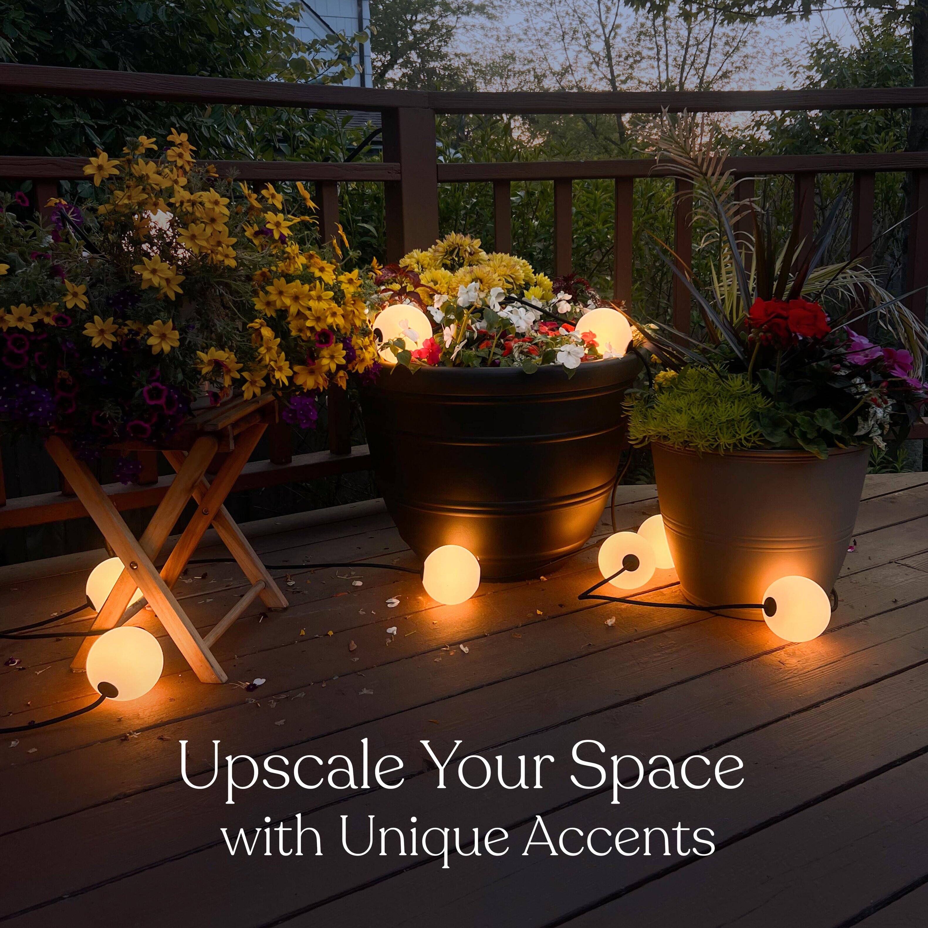 Upscale Your Space with Unique Accents