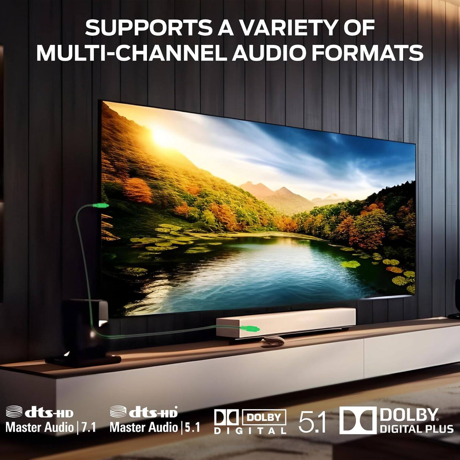 SUPPORTS A VARIETY OF MULTI-CHANNEL AUDIO FORMATS dtsHD dts-D DO DOLBY Master Audio | 7.1 Master Audio | 5.1 DIGITAL 5.1 D DOLBY DIGITAL PLUS