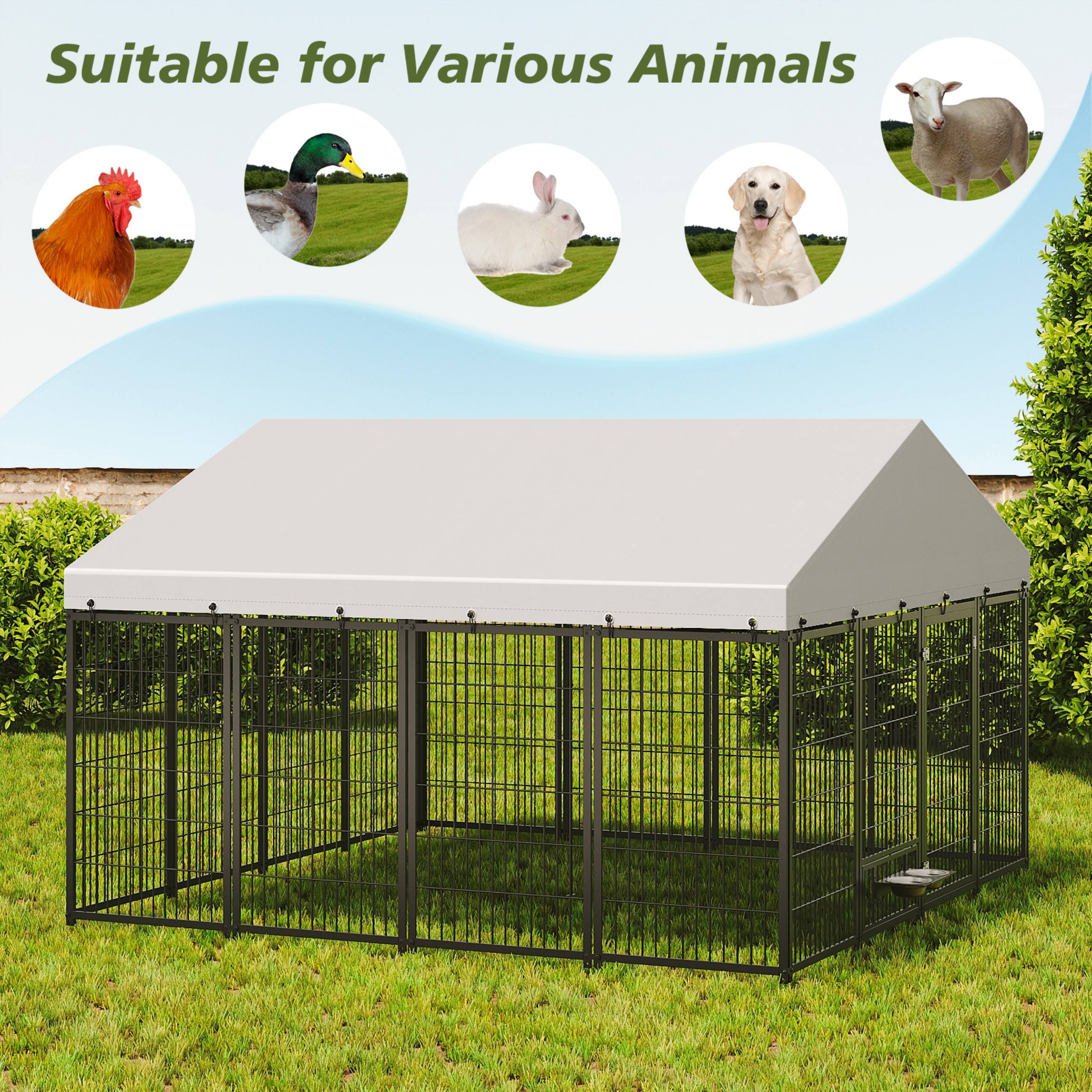 Suitable for Various Animals