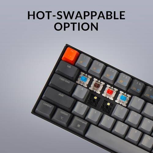 HOT-SWAPPABLE OPTION

1: control tab caps lock A shift Z option command x 3 o C 4 $ F V S % T G B 6 T6 y H N