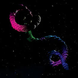 Brogan Bentley - Snake - VINYL LP