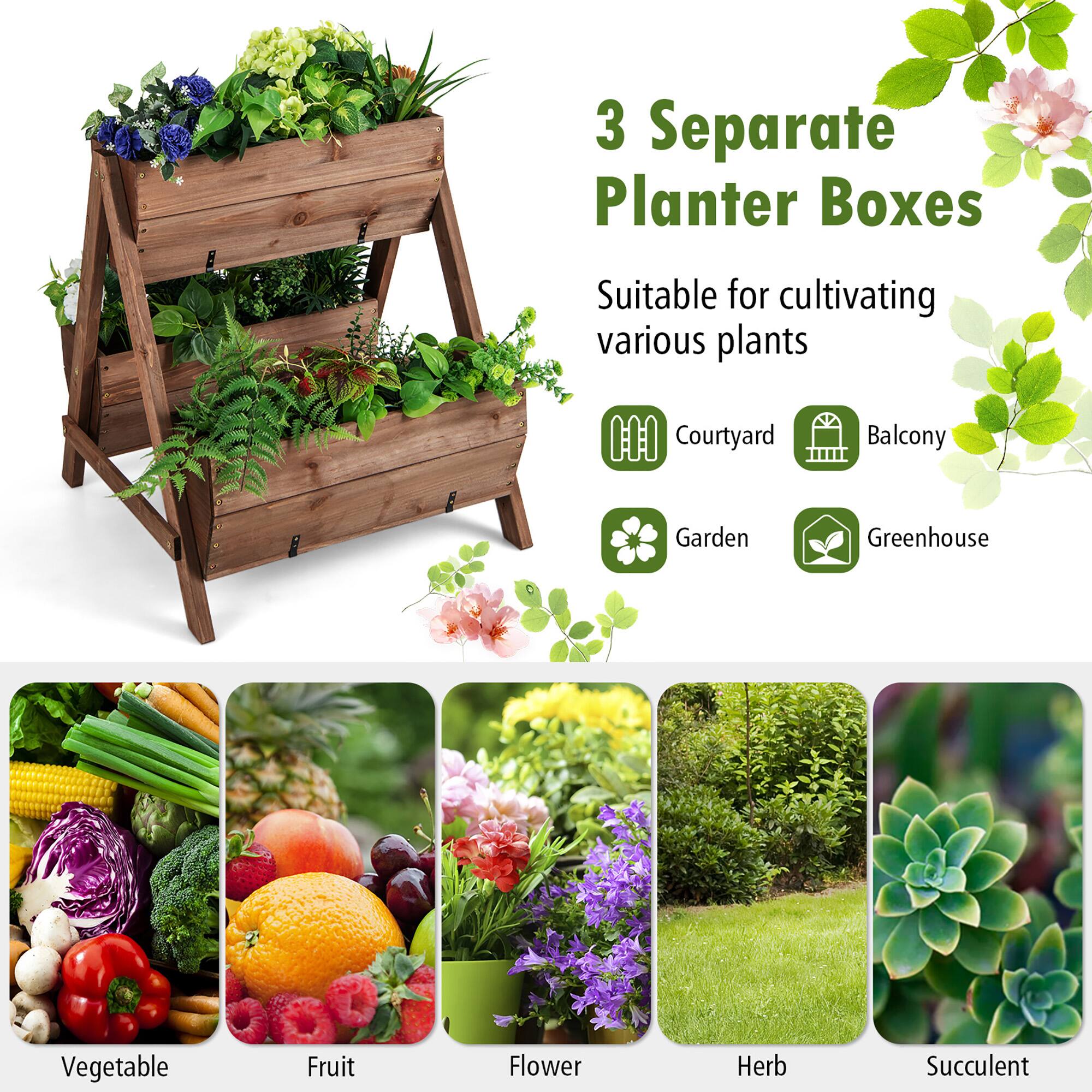 3 Separate Planter Boxes  
Suitable for cultivating various plants  

- Courtyard  
- Balcony  
- Garden  
- Greenhouse  

Vegetable  
Fruit  
Flower  
Herb  
Succulent