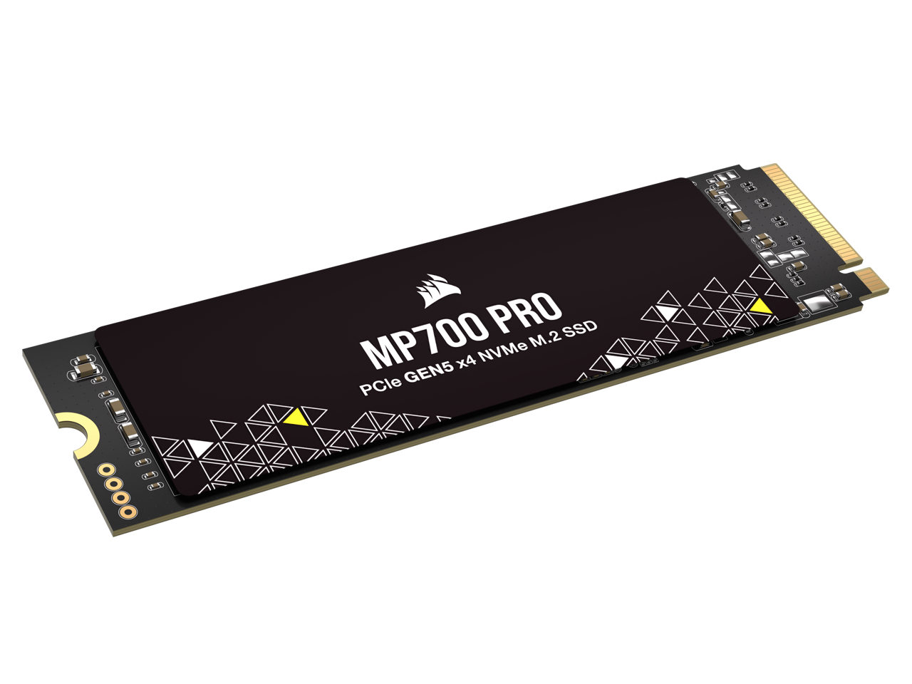 MP700 PRO  
PCle GEN5 x4 NVMe M.2 SSD