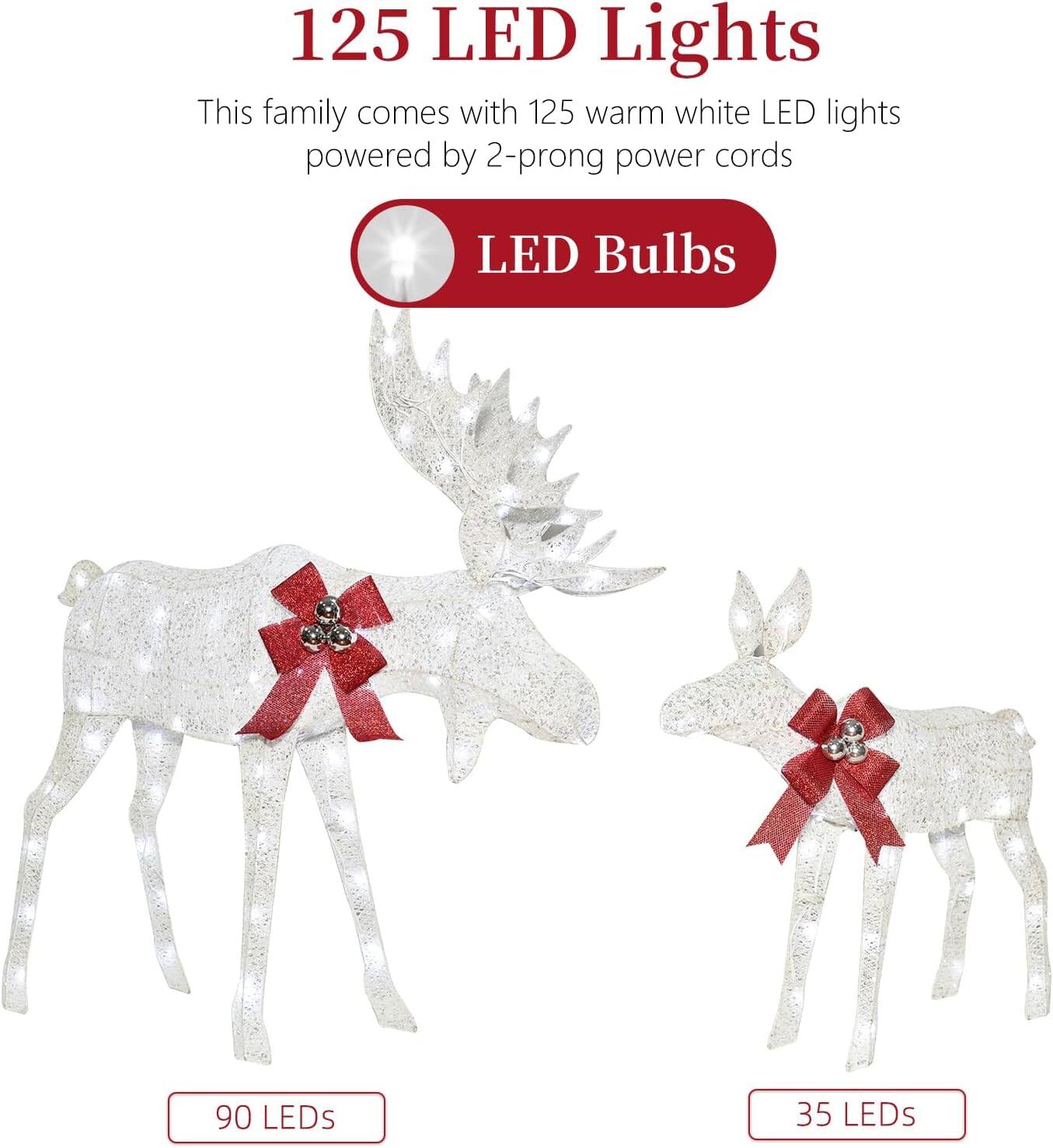 125 LED Lights  
This family comes with 125 warm white LED lights powered by 2-prong power cords  

LED Bulbs  
90 LEDs  
35 LEDs