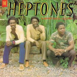 The Heptones - Swing Low - VINYL LP