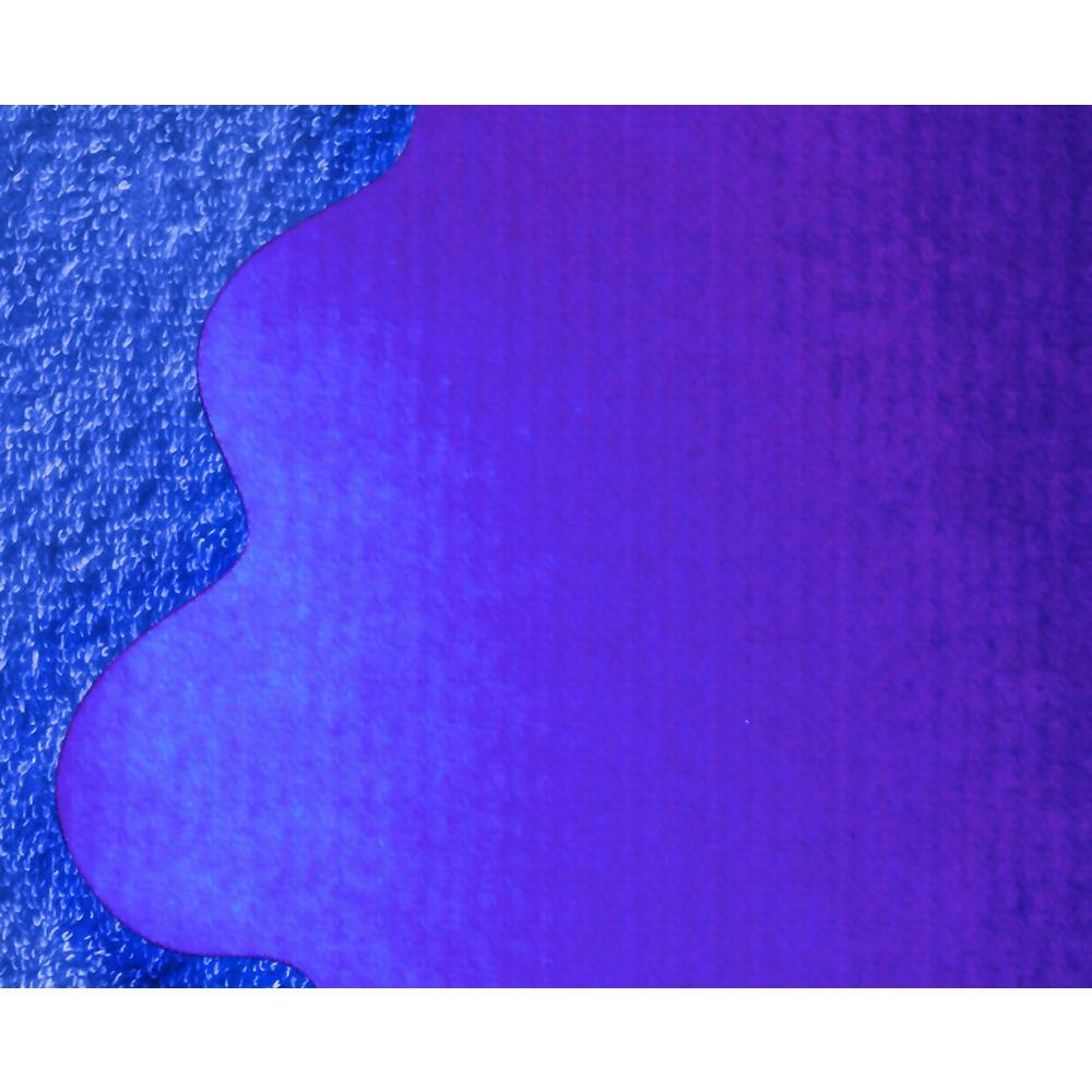 Back. Floortex - Blue Multi-Purpose Mat for Carpets - 40" x 40" - Blue.