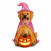 Front. RYHNUYNE - Halloween Golden Retriever Dog Statue with Pink Witch Hat and Cape, Large Lighted Jack-O-Lantern Pumpkin - Brown.