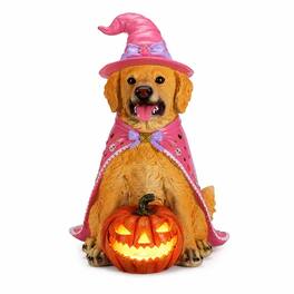 RYHNUYNE - Halloween Golden Retriever Dog Statue with Pink Witch Hat and Cape, Large Lighted Jack-O-Lantern Pumpkin - Brown