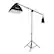 Alt View 3. Winado - 30pcs Photo Studio Photography Lighting Kit Umbrella Softbox Backdrop Stand Set:Backdrops Stand, Umbrella, Light Bulb.