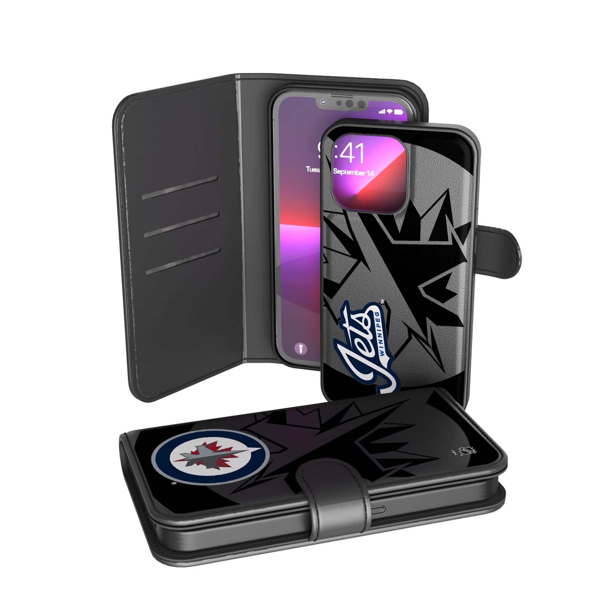 Keyscaper - NHL - Winnipeg Jets iPhone Wallet Case - 12/12 Pro - Multicolor price history on PriceWatchPro