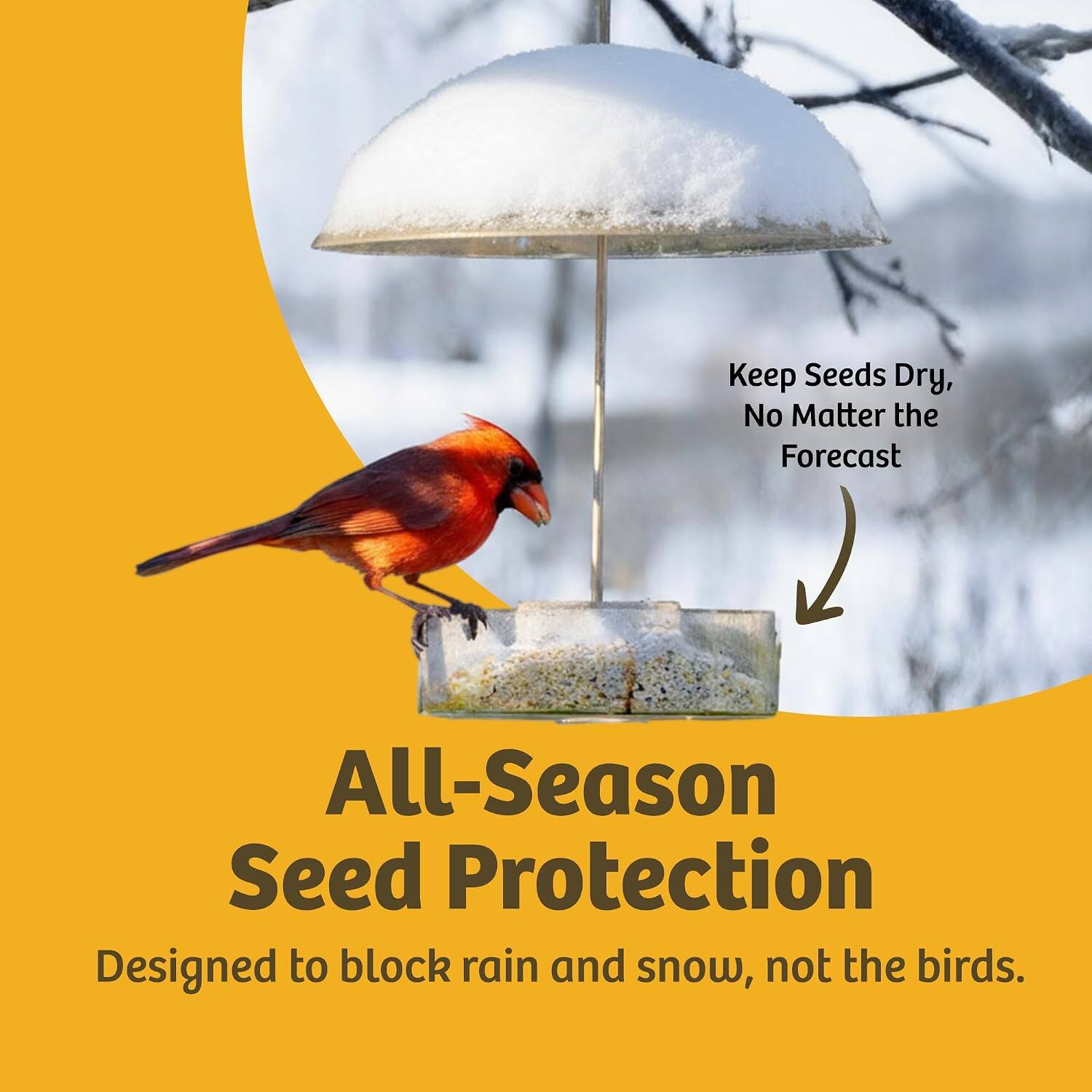 Keep Seeds Dry, No Matter the Forecast

All-Season Seed Protection
Designed to block rain and snow, not the birds.