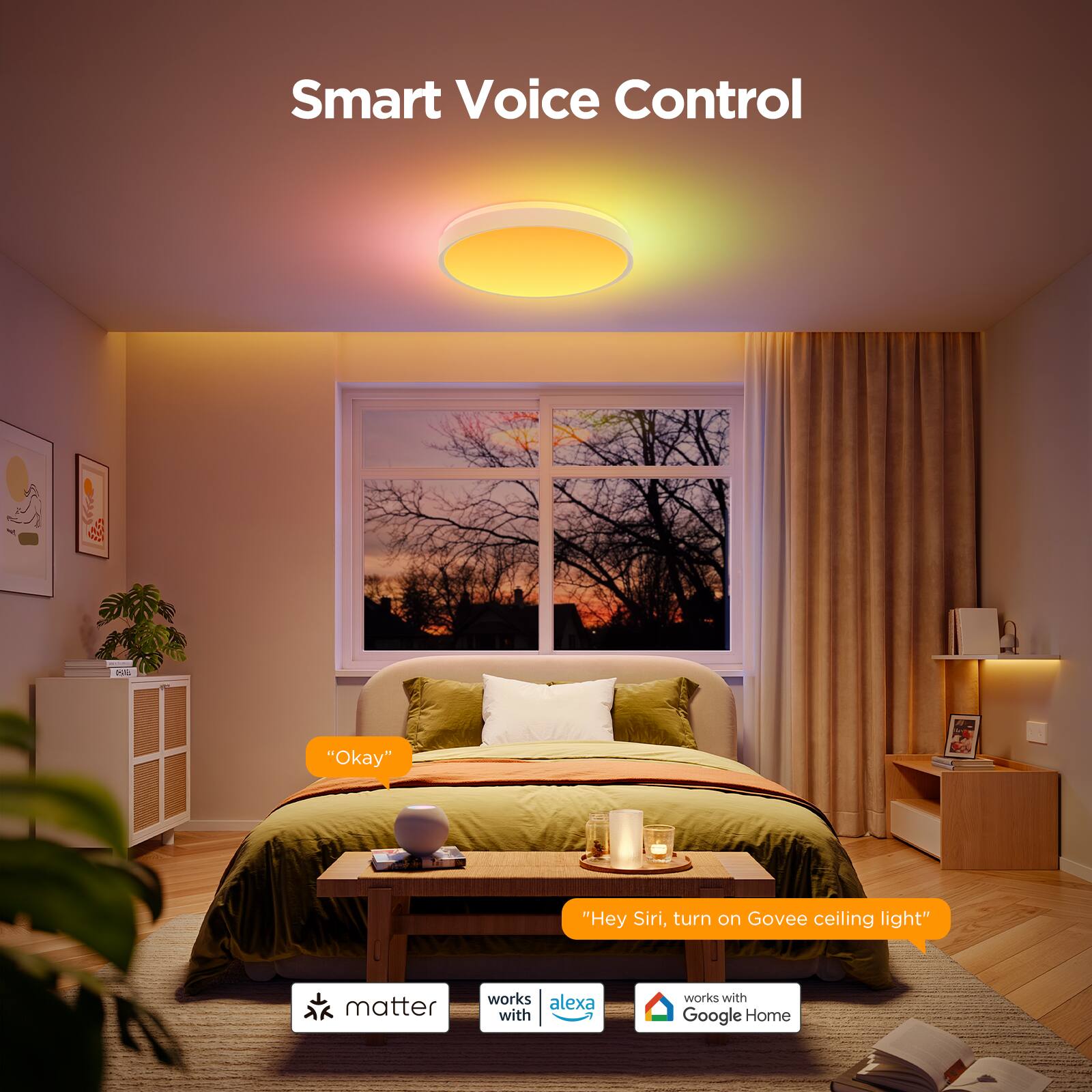 Smart Voice Control

"Okay"

"Hey Siri, turn on Govee ceiling light"

matter works with alexa

works with Google Home