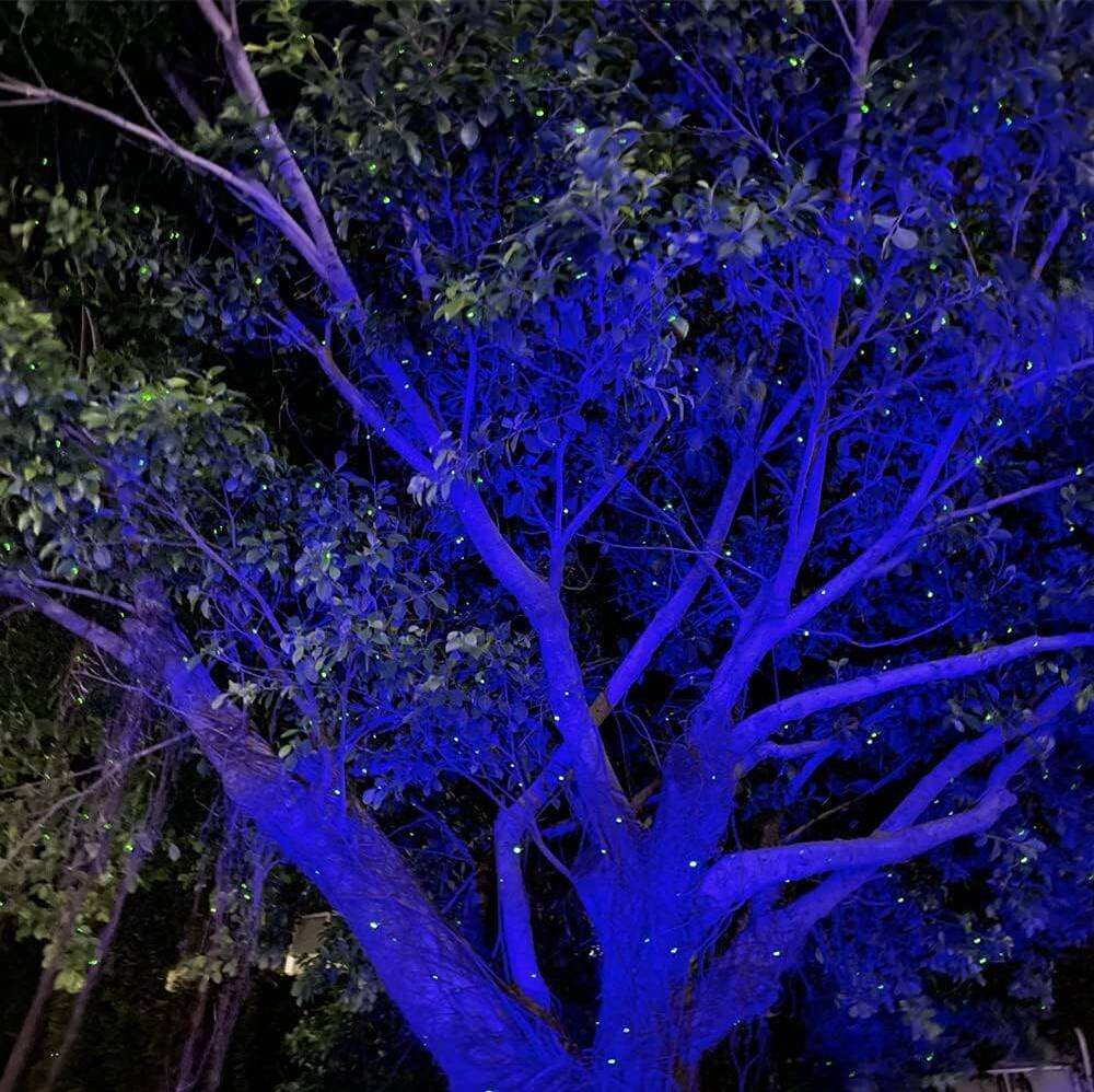 Left. Schertz - Firefly Garden Lights Star Projector Laser - Firefly & Blue Cloud.