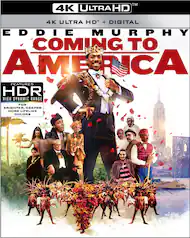 Comedy Movies