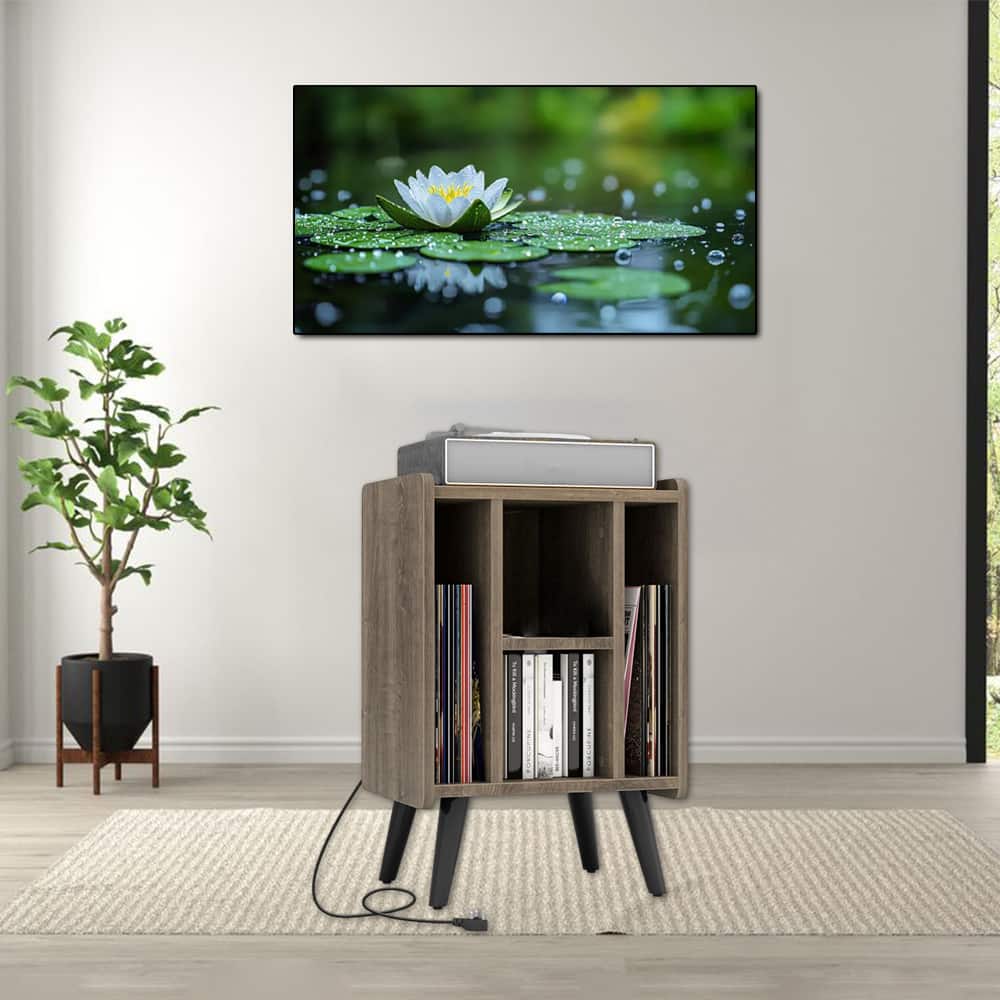 Hivvago - Modern Turntable Console with 4 Open Storage Levels - Gray