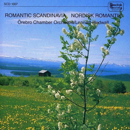 Hedwall / Orebro Chamber Orch - Romantic Scandinavia  - COMPACT DISCS