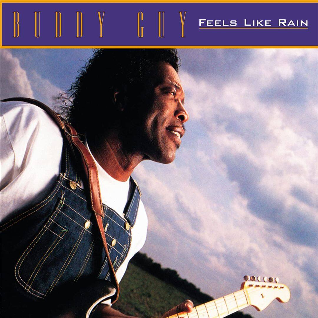 Feels Like Rain [LP] [VINYL] price history on PriceWatchPro