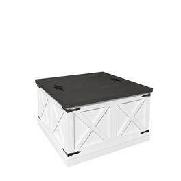 Boyel Living - Farmhouse Square Coffee Table with Lift-Top and Hidden Storage Compartment, Rustic Wood Center Table for Living Room - Black+White