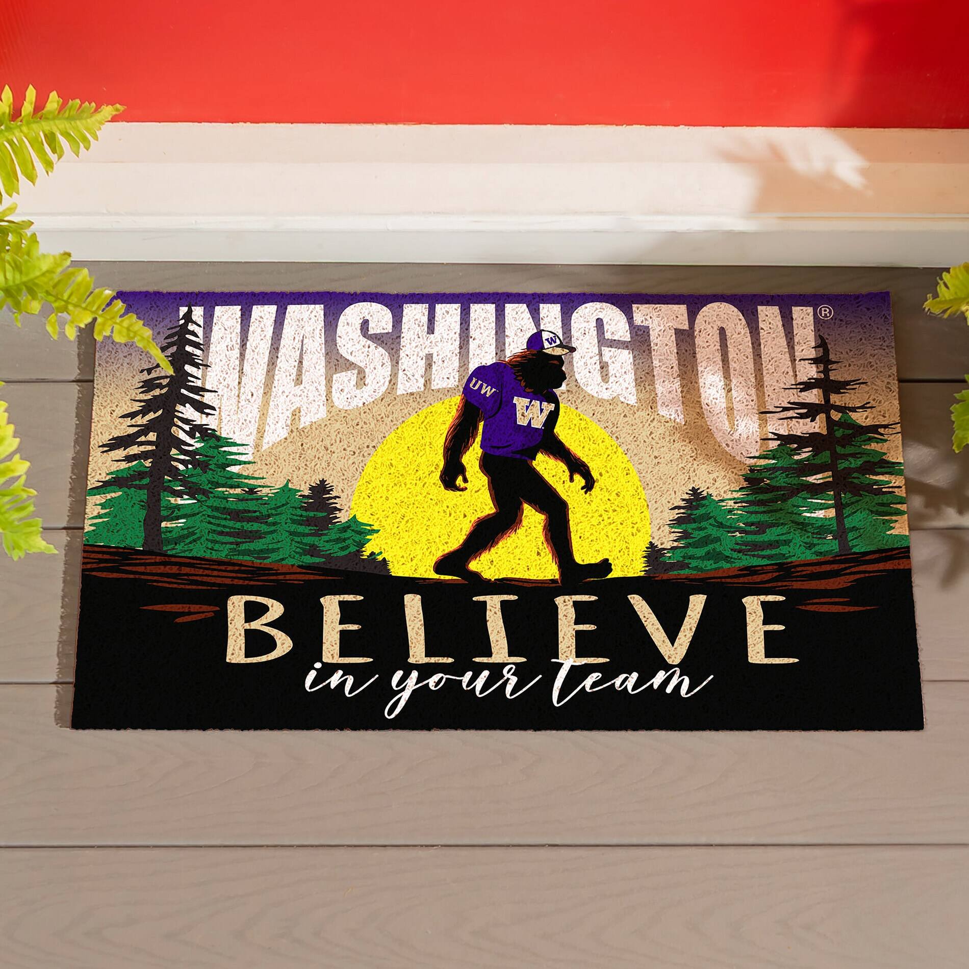 WASHINGTON  
BELIEVE in your team