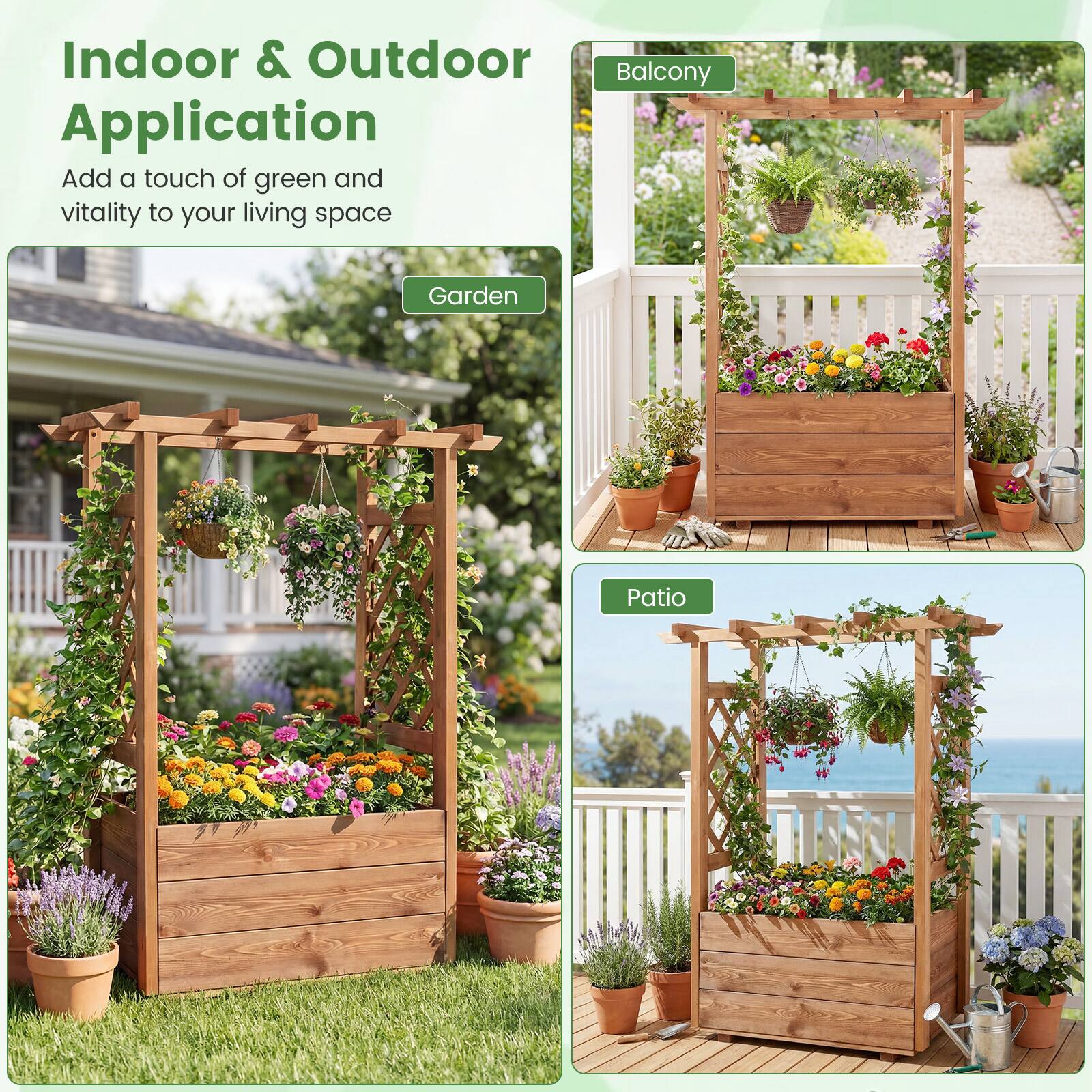 Indoor & Outdoor Application  
Add a touch of green and vitality to your living space  

Garden  
Balcony  
Patio