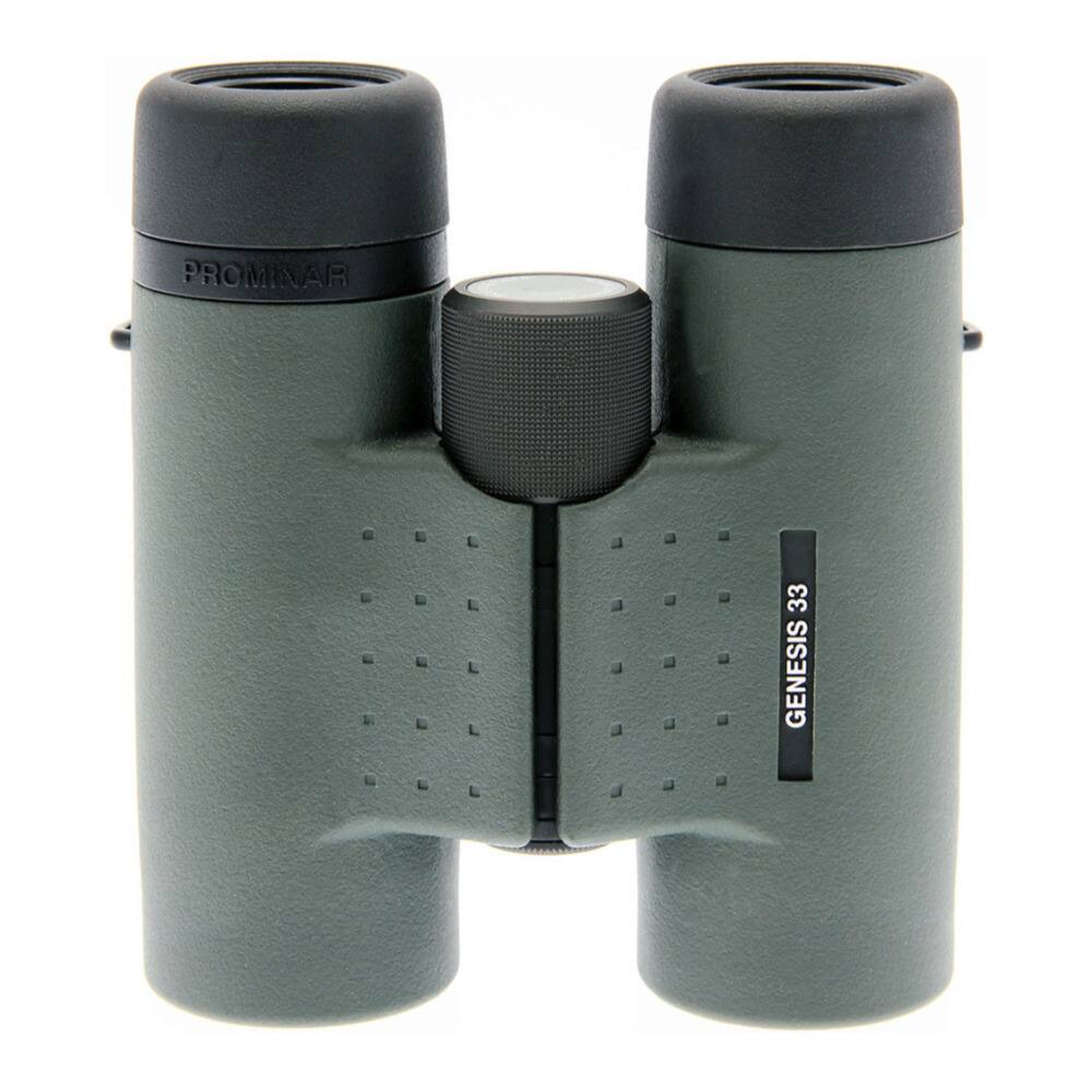 PROMINAR  
GENESIS 33