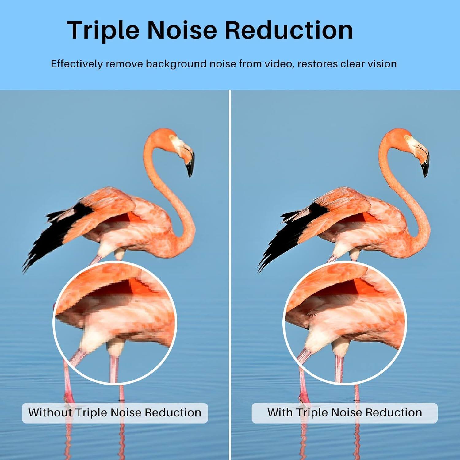 Triple Noise Reduction  
Effectively remove background noise from video, restores clear vision  

Without Triple Noise Reduction  
With Triple Noise Reduction
