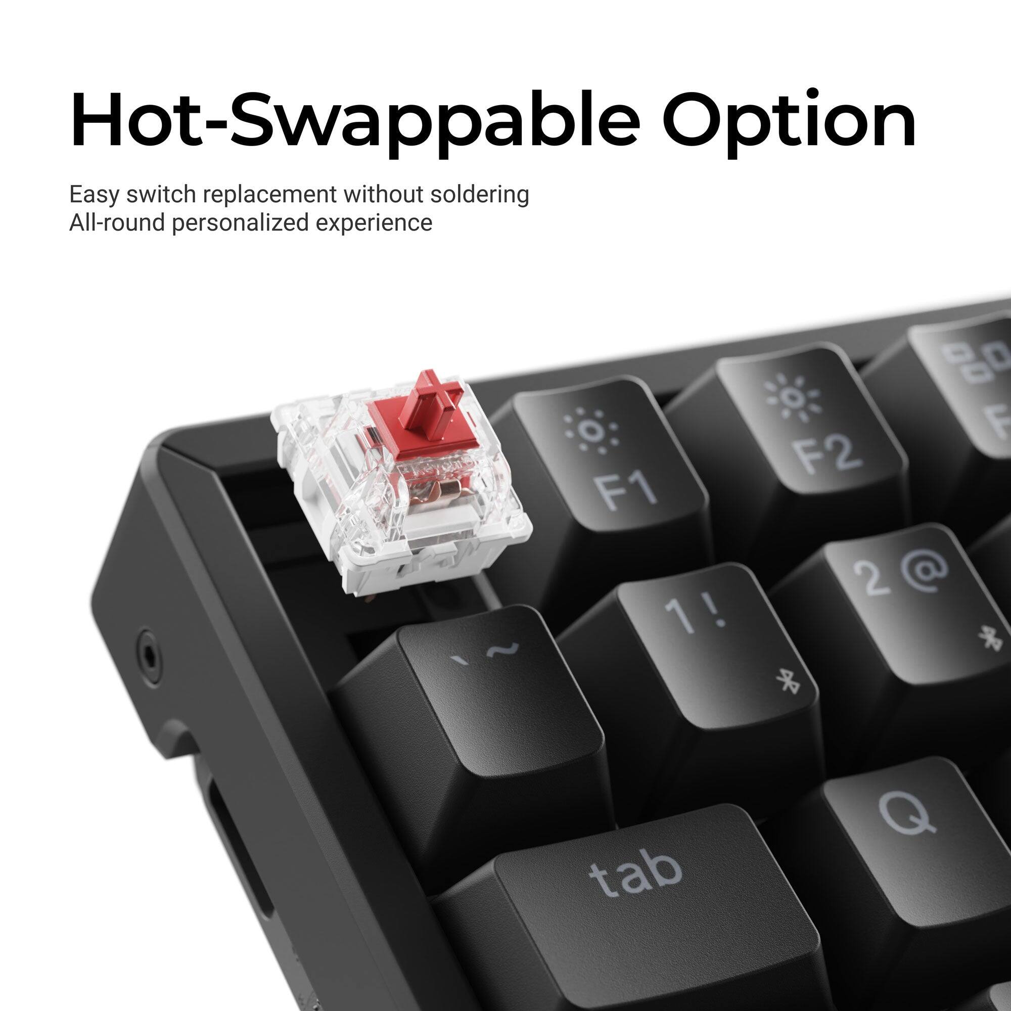 Hot-Swappable Option  
Easy switch replacement without soldering  
All-round personalized experience