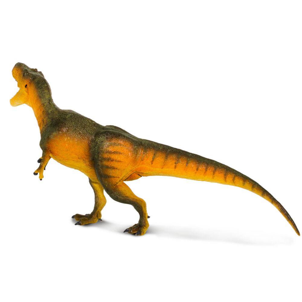 Back. Safari Ltd. - Daspletosaurus Toy Figurine.