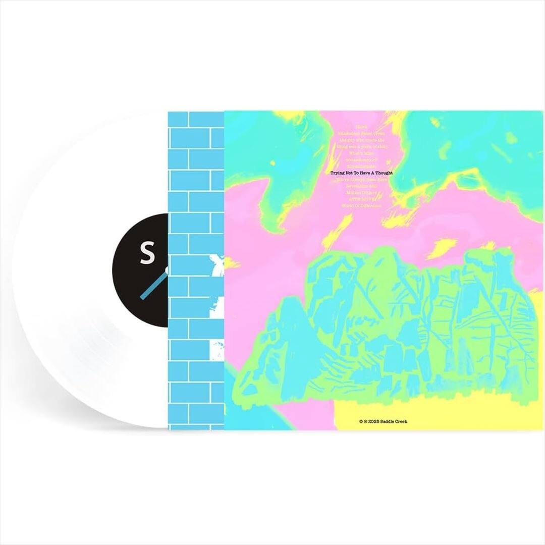Trying Not to Have a Thought [LP] [VINYL] price history on PriceWatchPro