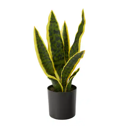Front. BreeBe - 14” Sansevieria Artificial Plant - Green.