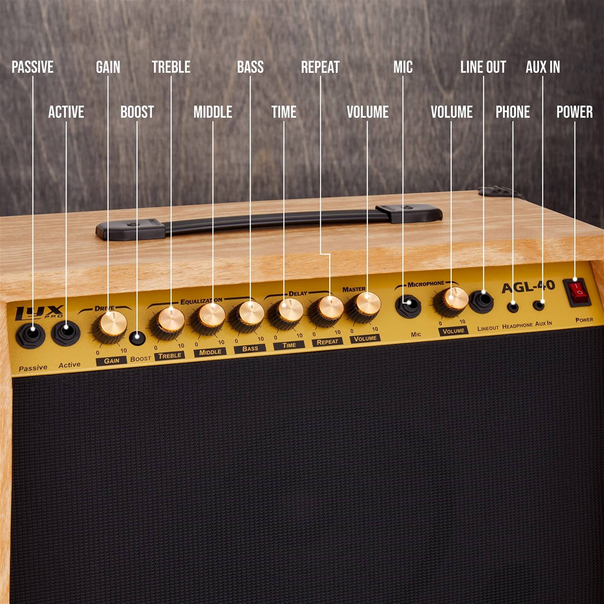 PASSIVE, ACTIVE, GAIN, BOOST, TREBLE, MIDDLE, BASS, TIME, REPEAT, MIC, LINE OUT, AUX IN, VOLUME, PHONE, POWER, LX, EQUALIZATION, DRY, 10, 0, 10, MIDDLE, BOOST, TREBLE, GAIN, 15, BASS, MASTER, DELAY, 13, 10, 10, VOLUME, REPEAT, TIME, MICROPHONE, AGL-40, POWER, Aux, LINEOUT, HEADPHONE, Mc, VOLUME