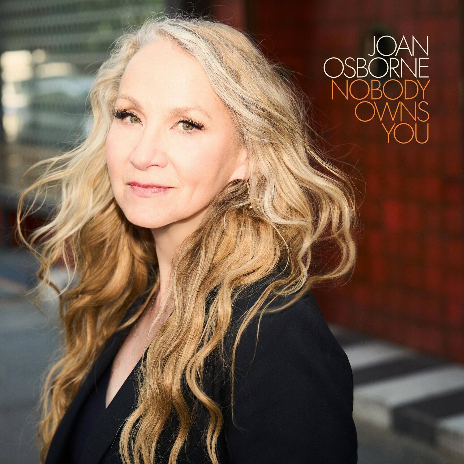 JOAN OSBORNE  
NOBODY OWNS YOU