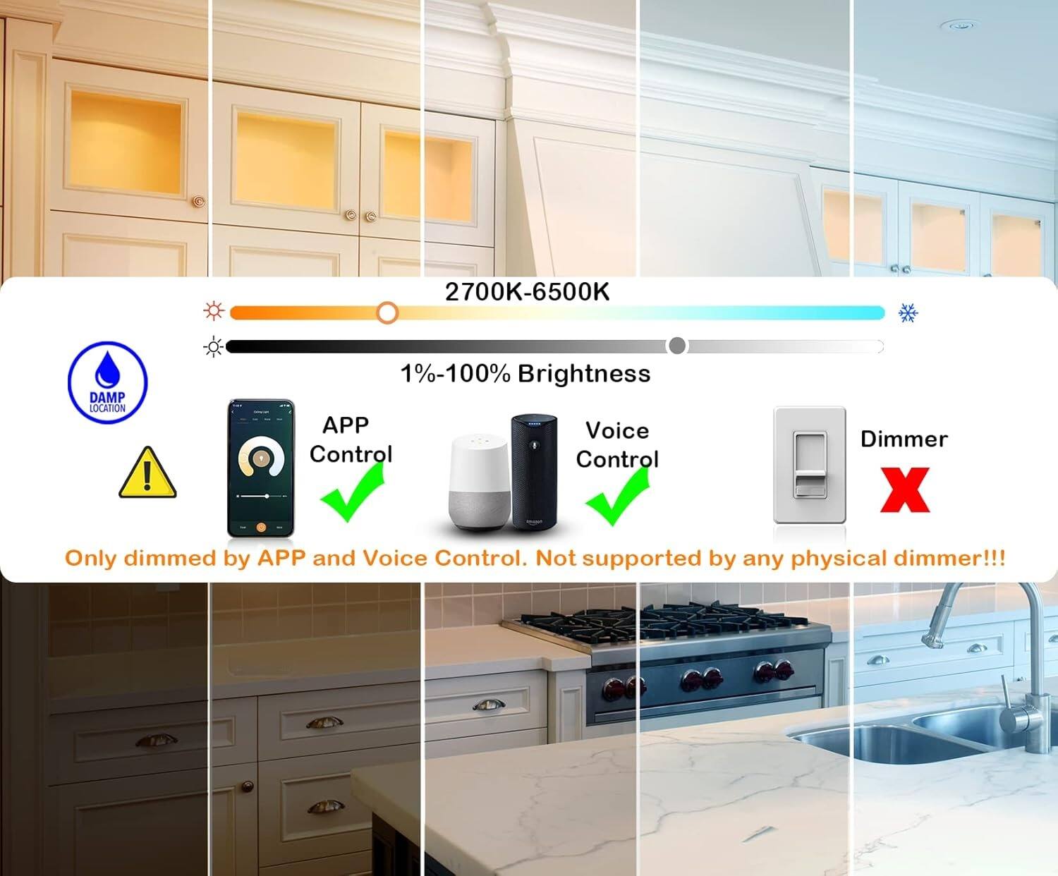 2700K-6500K  
1%-100% Brightness  

DAMP LOCATION  

APP Control  
Voice Control  

Only dimmed by APP and Voice Control. Not supported by any physical dimmer!!!