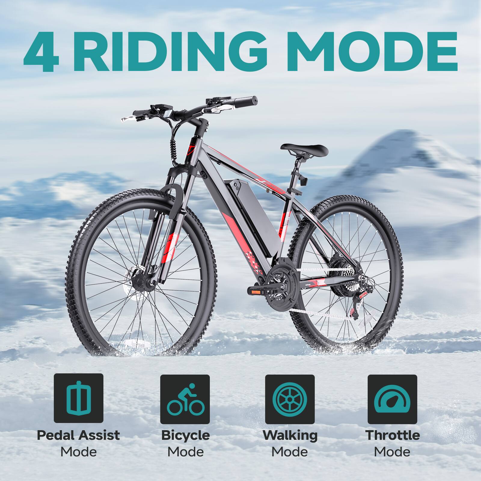 4 RIDING MODE

- Pedal Assist Mode
- Bicycle Mode
- Walking Mode
- Throttle Mode