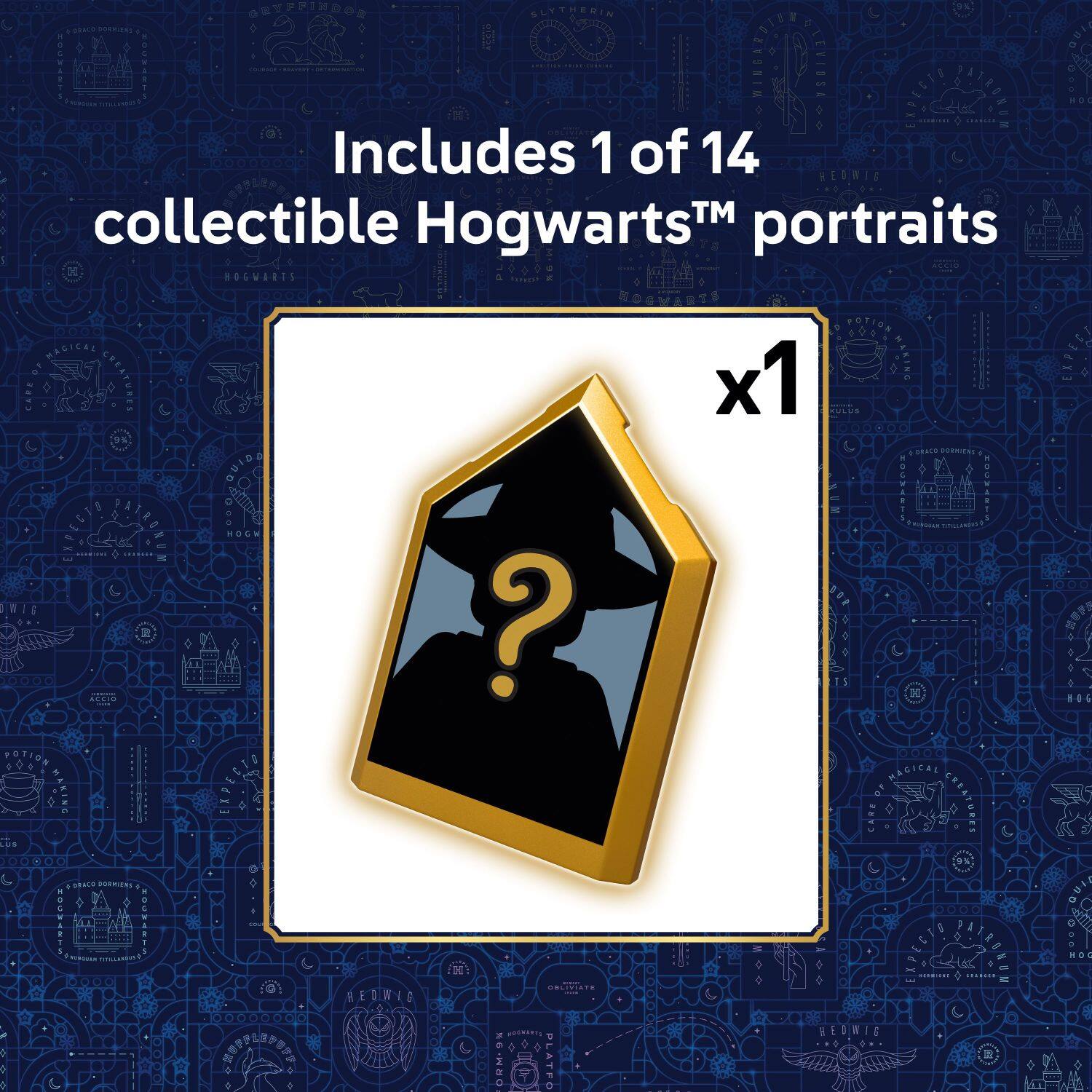 Includes 1 of 14 collectible Hogwarts™ portraits x1