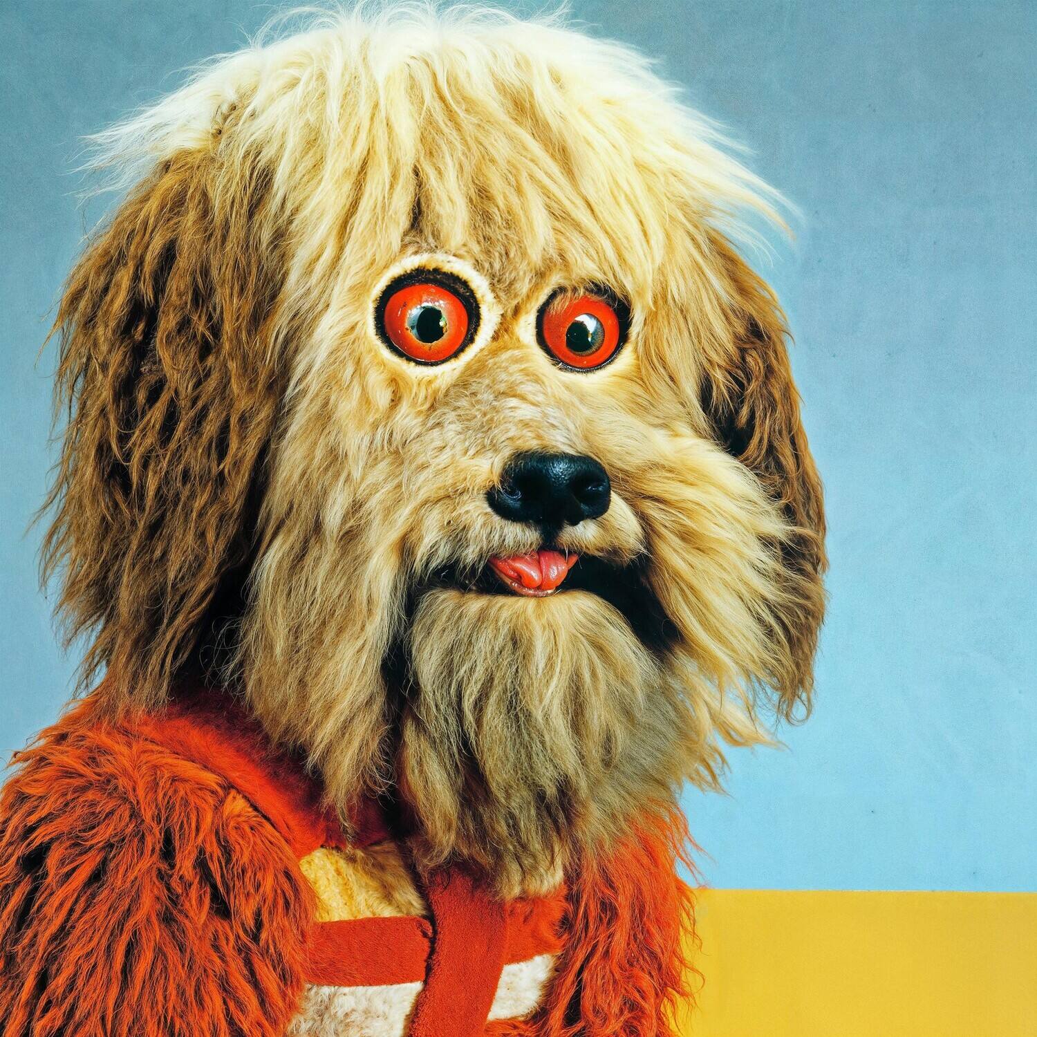 Front. Four Year Strong - Analysis Paralysis   - COMPACT DISCS.