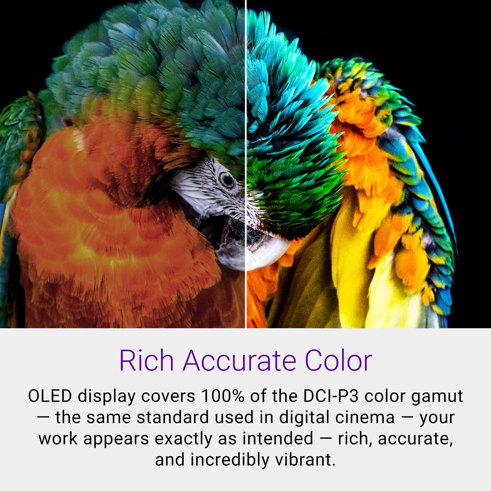 Rich Accurate Color
OLED display covers 100% of the DCI-P3 color gamut — the same standard used in digital cinema — your work appears exactly as intended — rich, accurate, and incredibly vibrant.