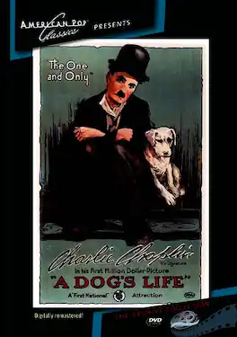 A Dog's Life (MOD) (DVD Movie)
