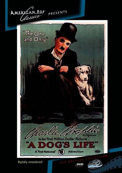 Front. A Dog's Life (MOD) (DVD Movie).