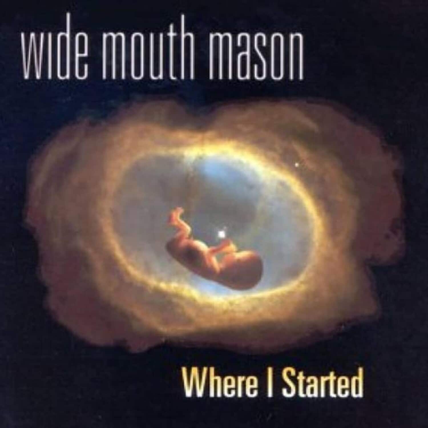 Wide Mouth Mason - Where I Started   - VINYL LP price history on PriceWatchPro