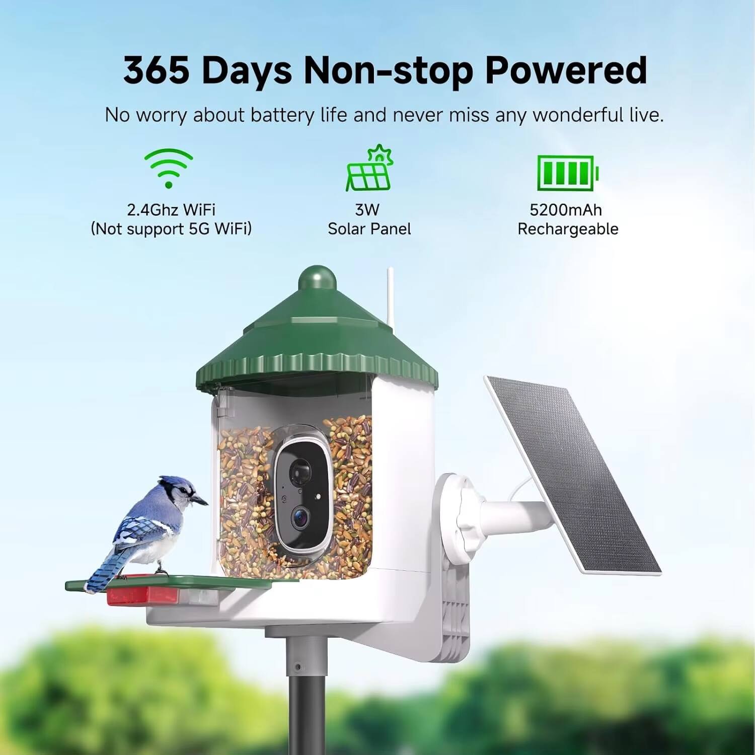 365 Days Non-stop Powered  
No worry about battery life and never miss any wonderful live.  
2.4Ghz WiFi (Not support 5G WiFi)  
3W Solar Panel  
5200mAh Rechargeable